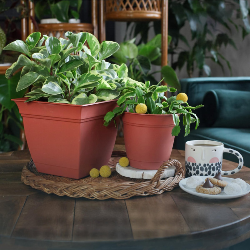 Square Plastic Planter with Sauce, Clay