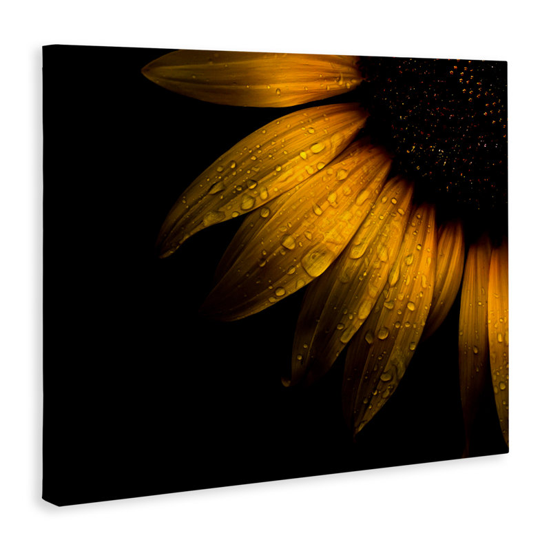 Gouttelettes d'eau sur toile de tournesol, conception par Brian Carson, H 30 po x l 40 po