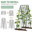 Ensemble de 2 treillis de concombre pliable à structure en A, support de plantes d'extérieur en acier enduit de PVC antirouille pour lits surélevés, haricots, tomates, plantes grimpantes-133408918-133408917