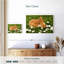 Brampt marguerites et lapin-108871276