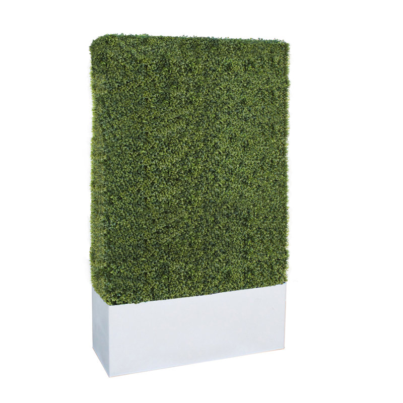 Faux Boxwood Hedge in Ceramic Planter, 72" H x 40" W x 12" D, White