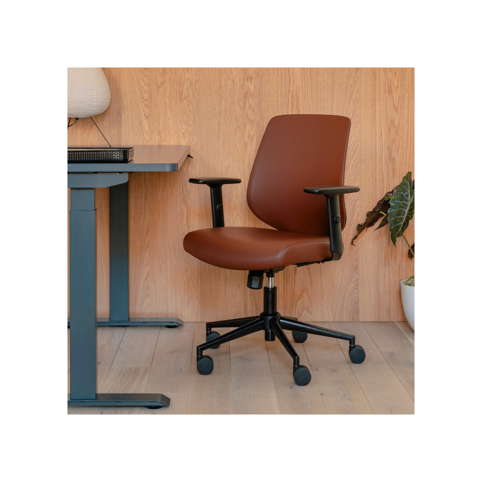 Daily Chair, Black, Mahogany