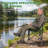 Folding Fishing Chair With Complete Accessories, Portable Camping Chair For Outdoor Fishing, 220Lbs Load-Bearing, Non-Slip All-Terrain Design With Storage Bags (Green)-95422610