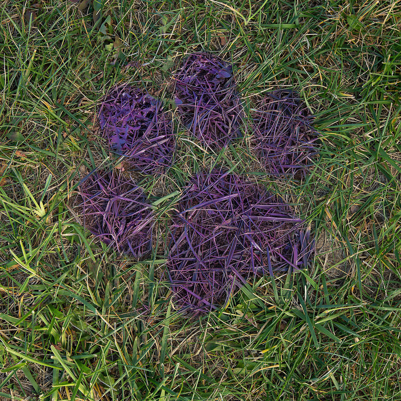Fun Express Paw Print Yard Stencils - 2 Pc.