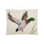 Coussin en laine Camp Wandawega Mallard