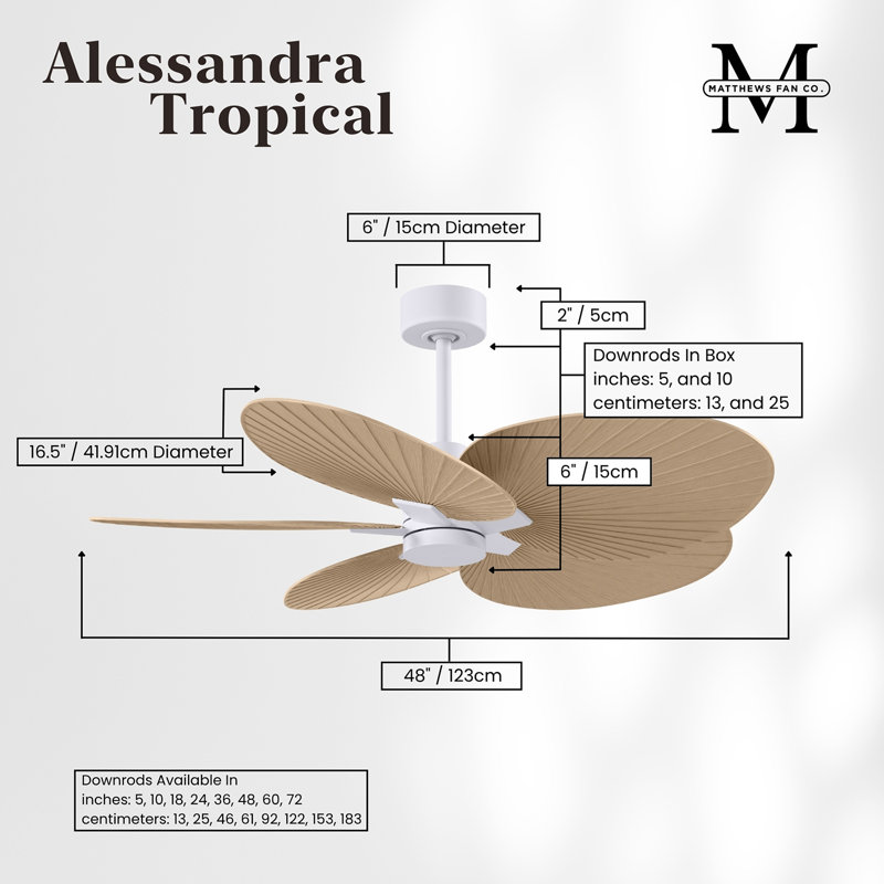 Alessandra - Five Blade Ceiling Fan, Matte White, Light Maple Tone