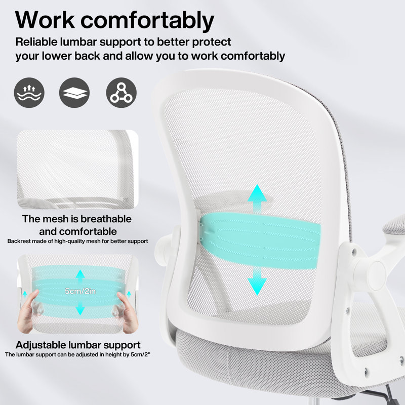 Ergonomic Office Chair, Ergonomic Desk Chair with Adjustable Lumbar Support, Mesh Computer Chair with Comfy Flip-up Armrests, Executive Task Chair for Home Office  (Gray) 