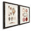 Toile encadrée Shell Collection VP Remium - prête à être accrochée-558366128-558123106-558123113