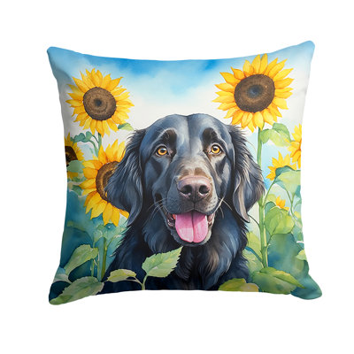 Other/No Pattern Outdoor Throw Pillow