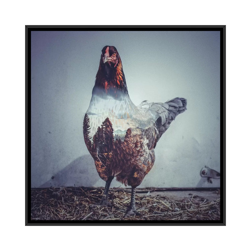 Hen by Paul Haag - Print on Canvas, Black Framed, 66.04 cm H x 66.04 cm W