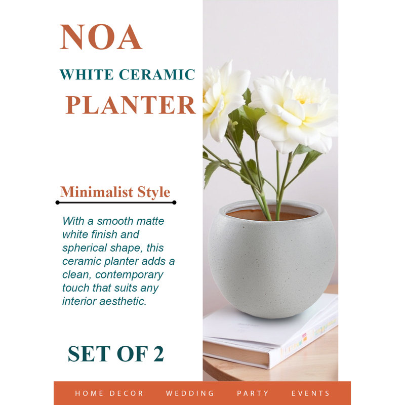  Noa White Ceramic Planter, Round Matte Pots With Natural Clay Interior For Succulents, Small Plants, Modern Home & Office Décor, 6.2" Diameter & 5" Tall, Pack Of 2