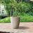 Planter-965475955