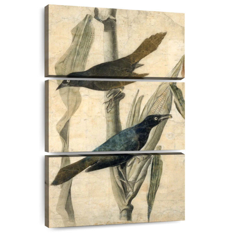 Brampt Purple Grackle