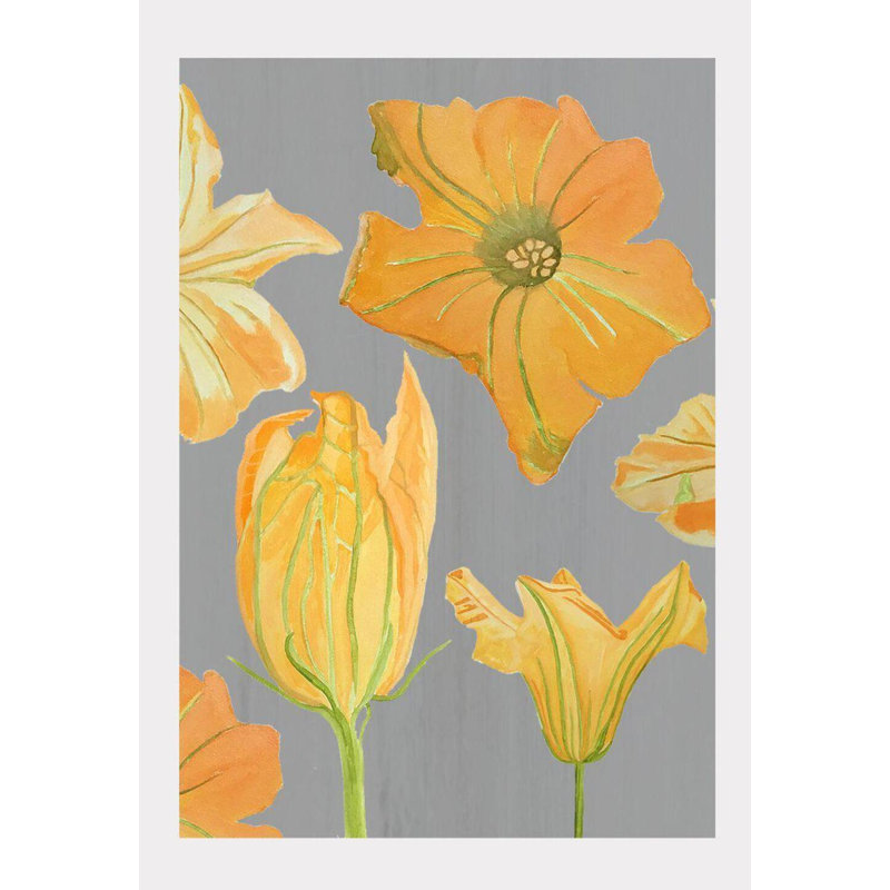 Pumpkin Flowers On Print, Orange/Yellow/Green/Gray, 19" H x 13" W