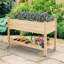 Wood Elevated Planter