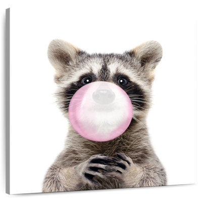 Crowle Bubble Gum Raton laveur