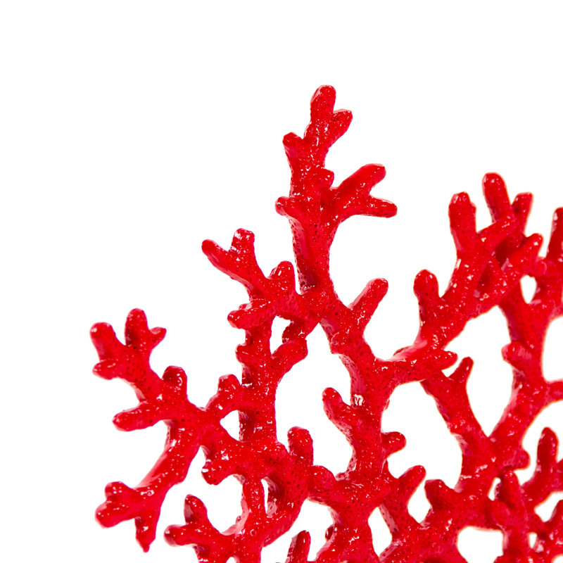 Orné  Coral, H 14 po x l 17 po x P 3 po