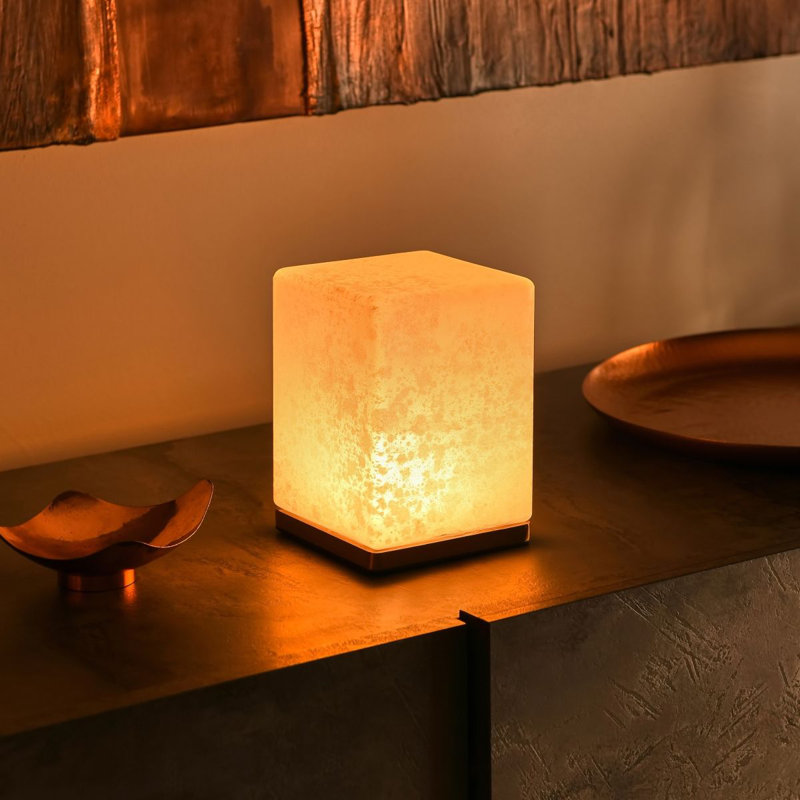 Alazah Delphine Rechargeable Wireless Table Lamp with Remote