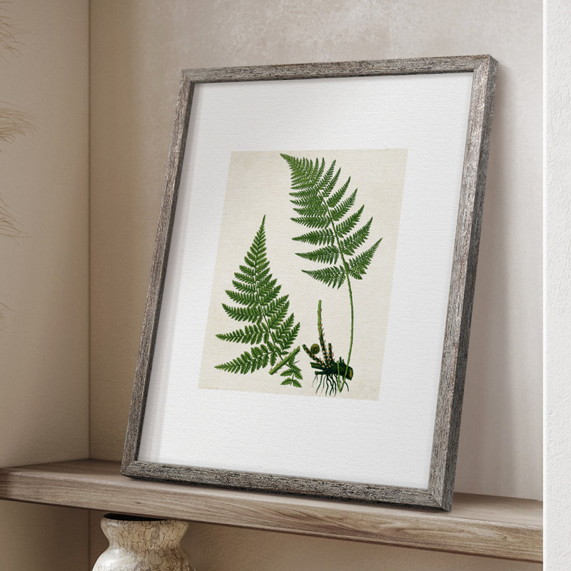 Impression encadrée Fern II - bois massif 51004, H 15 po x l 12 po