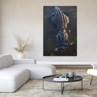 Vue en plongée de l'alligator américain dans l'eau, Caroline du Sud, États-Unis. Art mural contemporain alligator