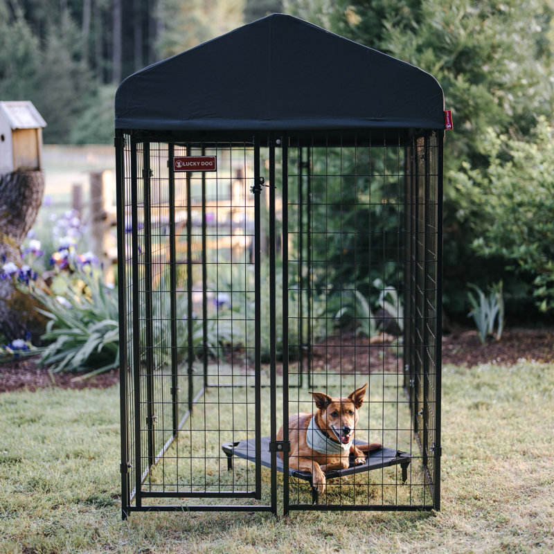 Black Powder Coat Steel Frame Outdoor Dog Kennel with Waterproof Canopy