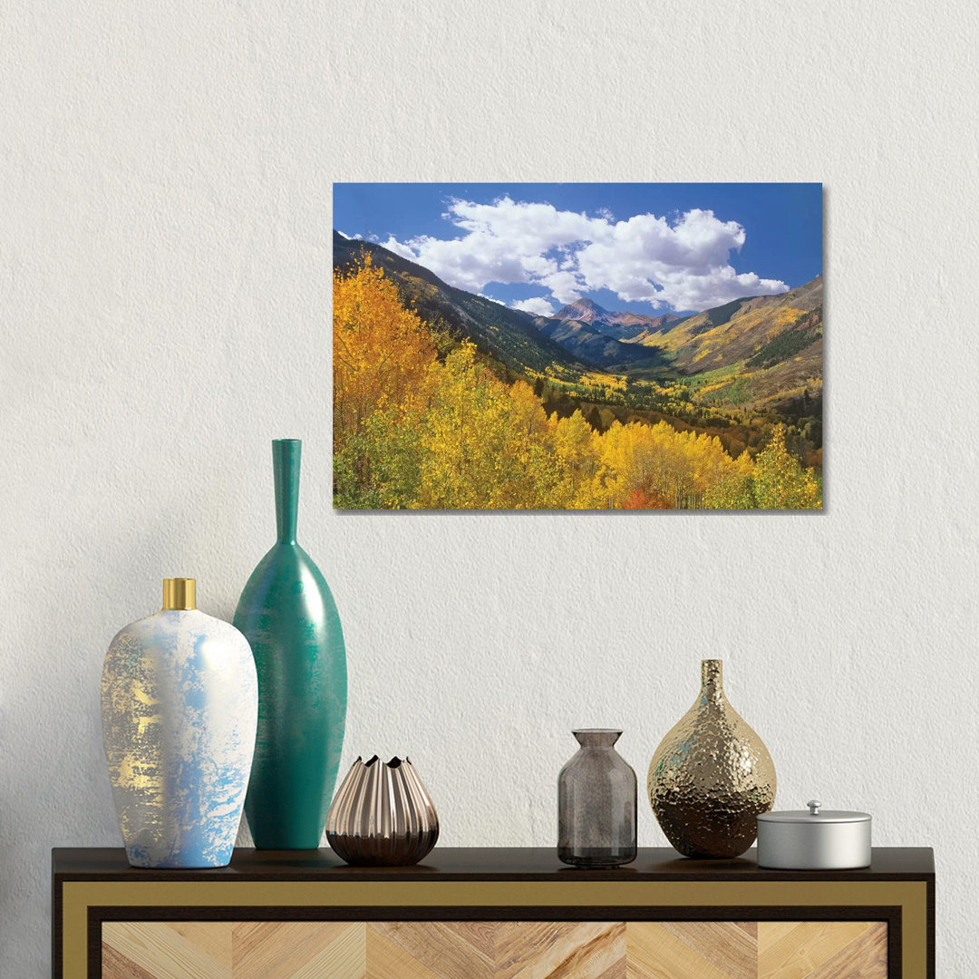 Haystack Mountain With Aspen Forest, Maroon Bells-Snowmass Wilderness, Colorado von Tim Fitzharris - Gallery-Wrapped Can...