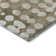 Premium Machine Washable Prisco Taupe Rug