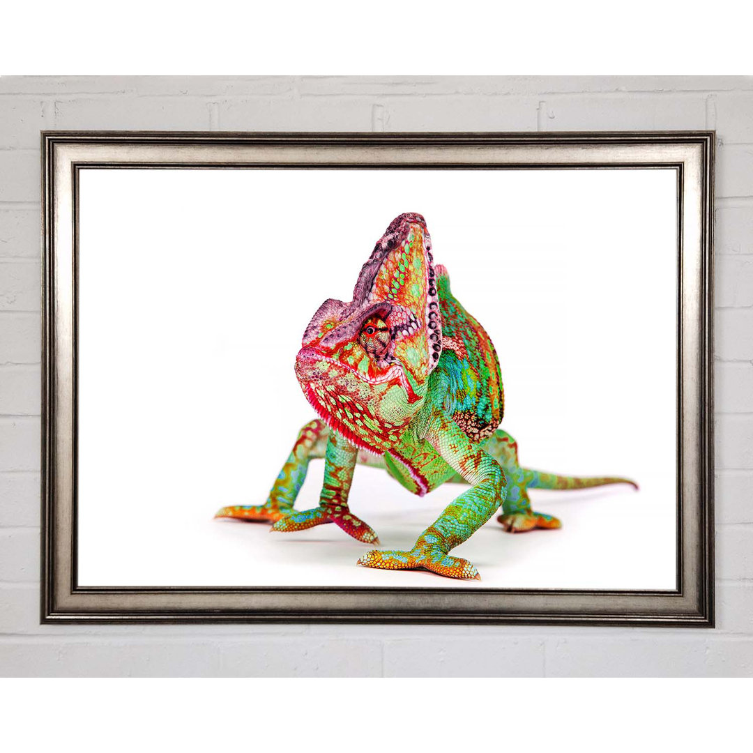 Chameleon Walk Gerahmter Druck