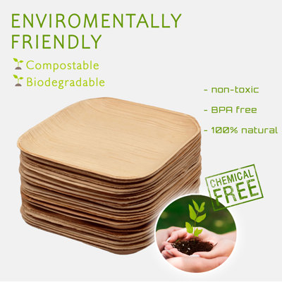  Assiette à hors-d'œuvre jetable - compostable