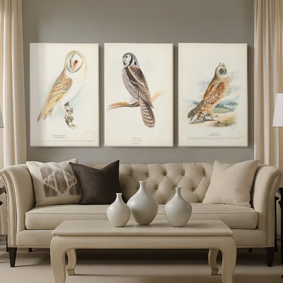 Barn Owl - Toile tendue avec châssis sur mesure - 3 pièces