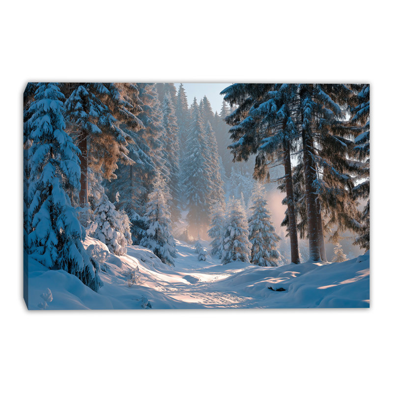 Sunlit Winter Forest Trail Wrapped Canvas Wall Art, 36"x48"