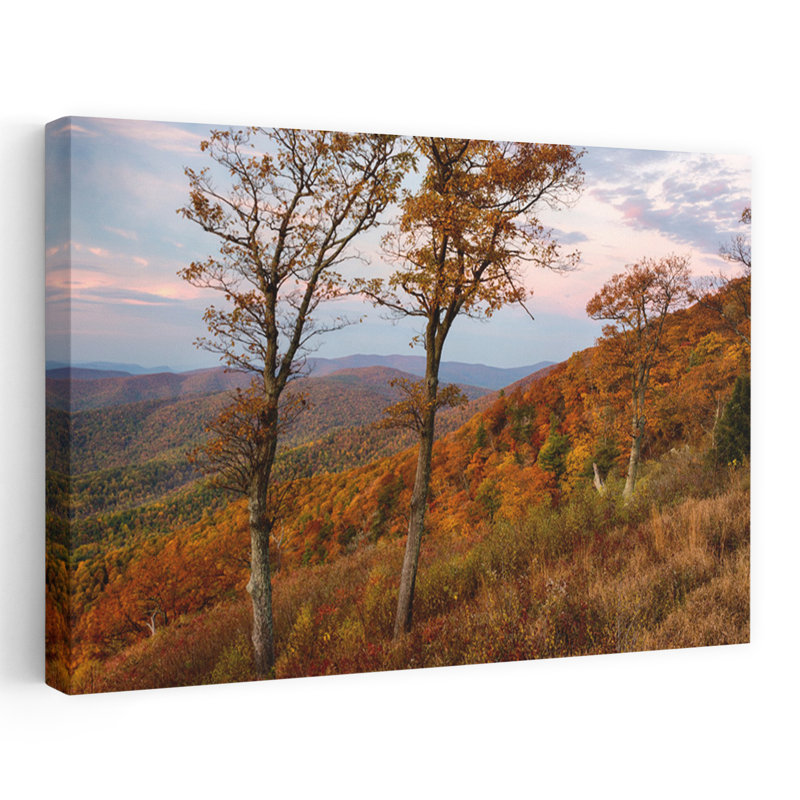 Autumn Morning Shenandoah National Park Virginia USA 1 Piece Wrapped Canvas Wall Art, 40.64 cm H x 60.96 cm W