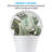 LED A21 Light Bulbs, 100W Eqv. Dimmable, E26 Base, CRI 90, UL & Listed-56785722