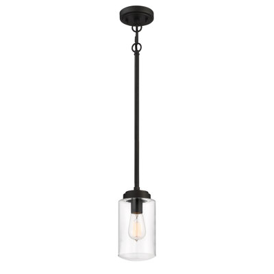 Rojas Outdoor Hanging Lantern