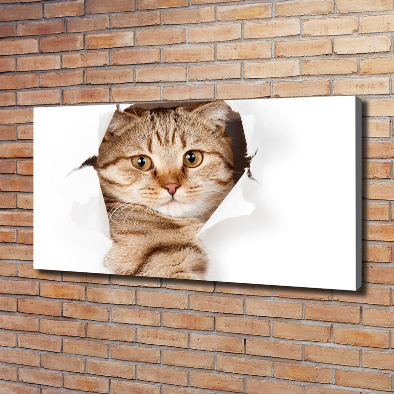 Cat - Wrapped Canvas Print