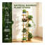Plant Stand