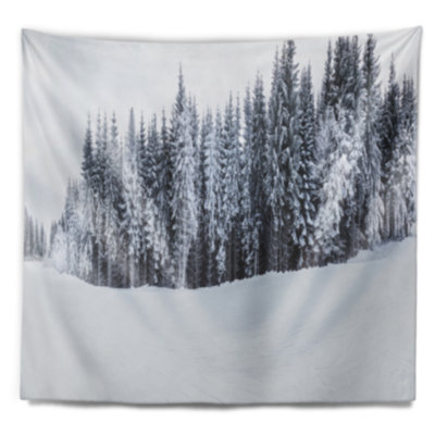 Paysage noir et blanc tapissé de montagnes tapissées