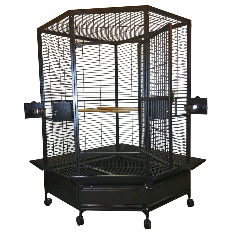 Cage de coin 42 po x 42 po par A&E, Noir