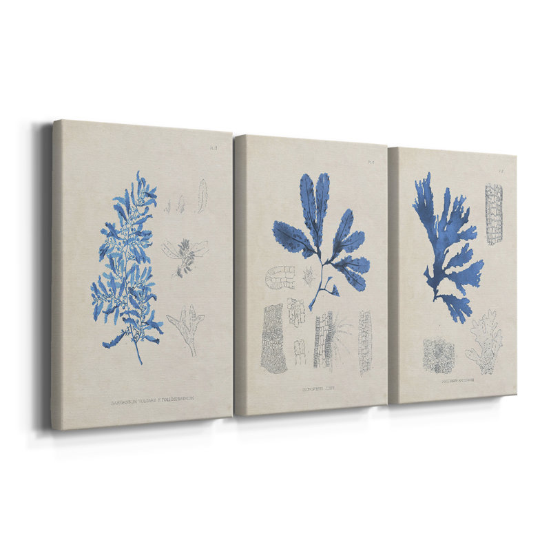 Blue Marine Algae VI - Toile tendue avec châssis sur mesure - 3 pièces, H 60 po x l 120 po