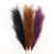 Black/Purple/Brown