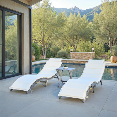 Alois Chaise Lounge Set with Cushion and Table