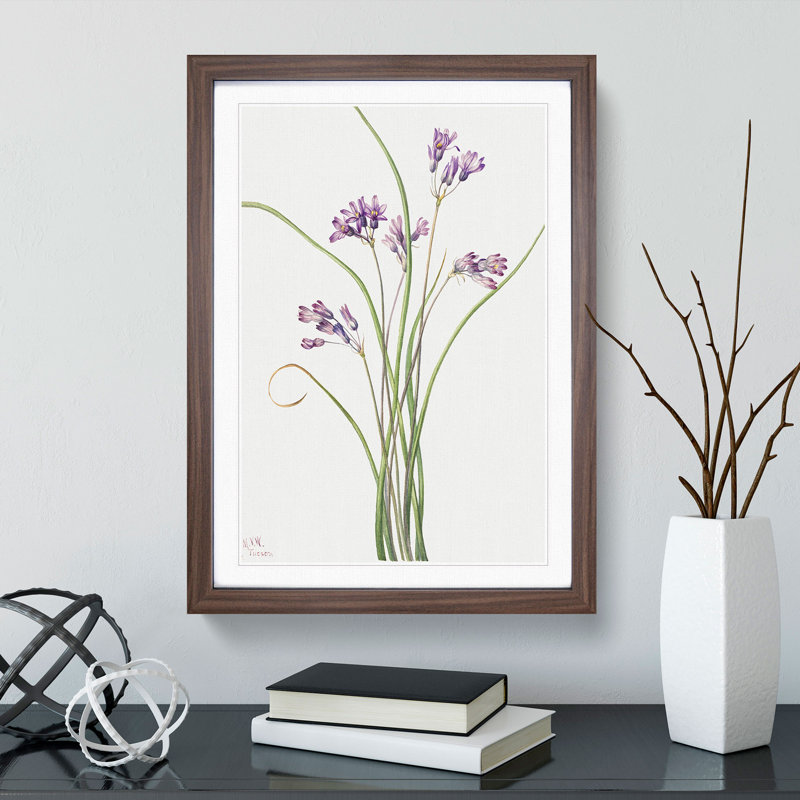 Wild Hyacinth by Mary Vaux Walcott - Picture Frame Painting, 48cm H x 36cm W x 2cm D, Walnut Framed