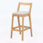 Chaises d'appoint d'intérieur, ensemble de 2-423066229