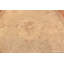 Tapis antique français ivoire Aubusson