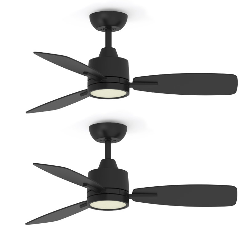 42'' Ceiling Fan With Led Lights (Set Of 2), Black