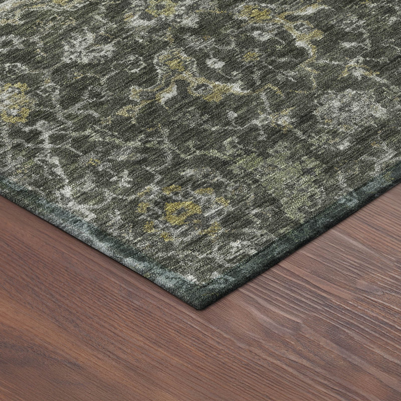 Machine Washable Indoor/Outdoor Chantille ACN2359 Traditional Rug, Rectangle 9' x 12'