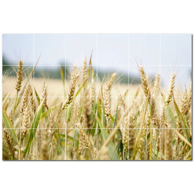 Farm Photo 12'' x 12'' Satin Ceramic Decorative Mural -  Picture-Tiles.com, PT500591-64XL