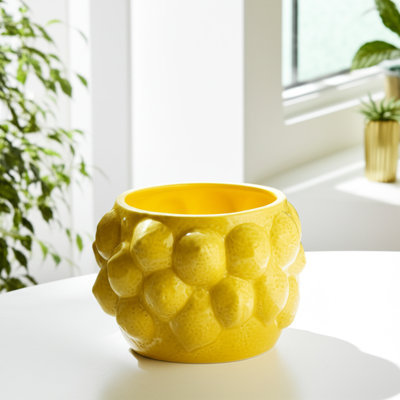 Textured Stoneware Ceramic Planter with Sculpted Bulbous Design and Integrated Drainage Hole for Indoor Outdoor Display