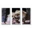 «Springtime Fox's Gaze I», art mural animal-438177434-438177438