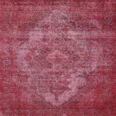 Oriental Indoor Rug